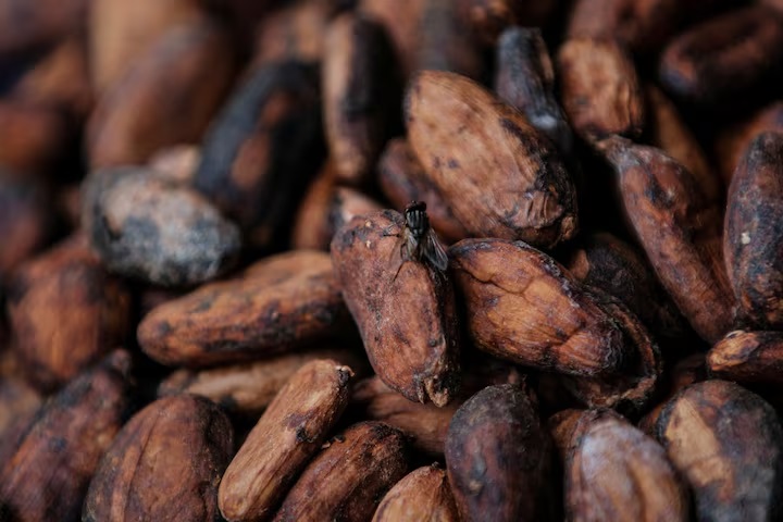 Ghana’s cocoa farmers file complaint over prices and child labour