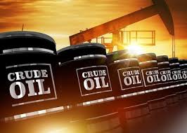 Ghana has made over $10bn from 633,300 barrels of crude oil since 2010 – PIAC